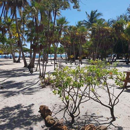 Hotel Wild Orchid Placencia Exteriér fotografie