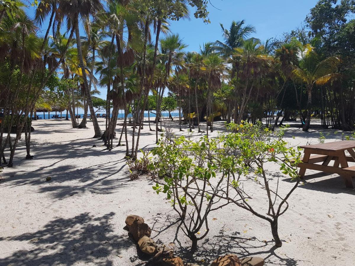 Hotel Wild Orchid Placencia Exteriér fotografie